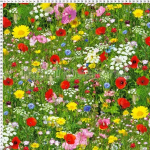 Spandex Poppy Meadow